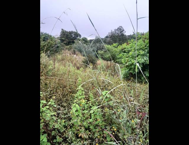 LAND FOR SALE IN WILROPARK